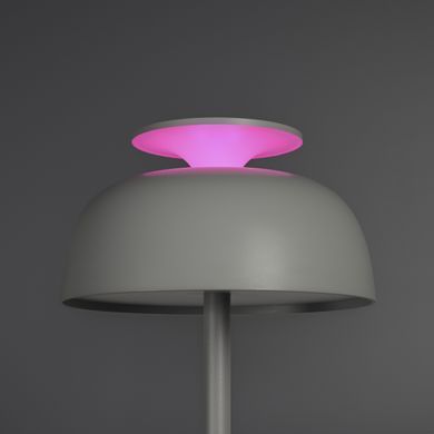 LED лампа настiльна з акумулятором VIDEX VL-TF24W 8W 4000K+RGB White (VL-TF24W) VL-TF24 фото