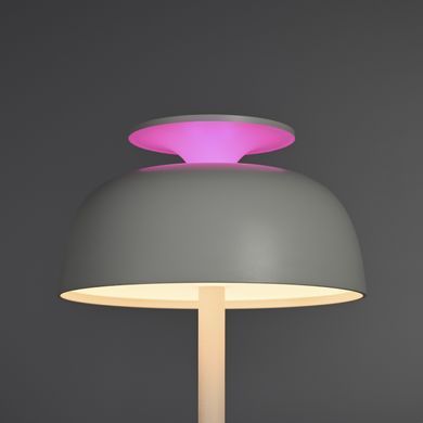 LED лампа настiльна з акумулятором VIDEX VL-TF24W 8W 4000K+RGB White (VL-TF24W) VL-TF24 фото