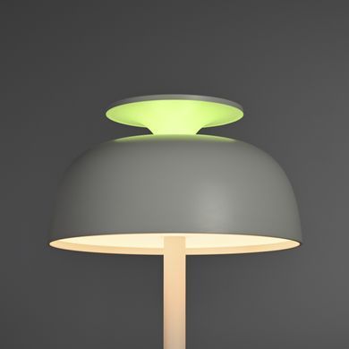 LED лампа настiльна з акумулятором VIDEX VL-TF24W 8W 4000K+RGB White (VL-TF24W) VL-TF24 фото