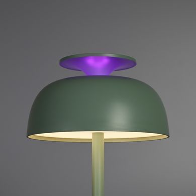 LED лампа настiльна з акумулятором VIDEX VL-TF24W 8W 4000K+RGB White (VL-TF24W) VL-TF24 фото