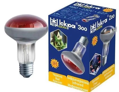 Лампа інфрачервона дзеркальна для обігріву R80 100W E27 1767800814 фото