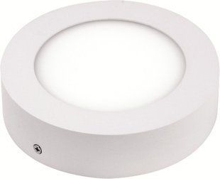 Світильник накладний "CAROLINE-12" 12W 4200К 016-025-0012-030 фото